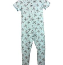 Papillon sautillant